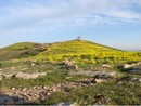 Göbekli Tepe im Frühling